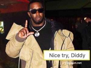 What Does Nice Try Diddy Mean On Instagram